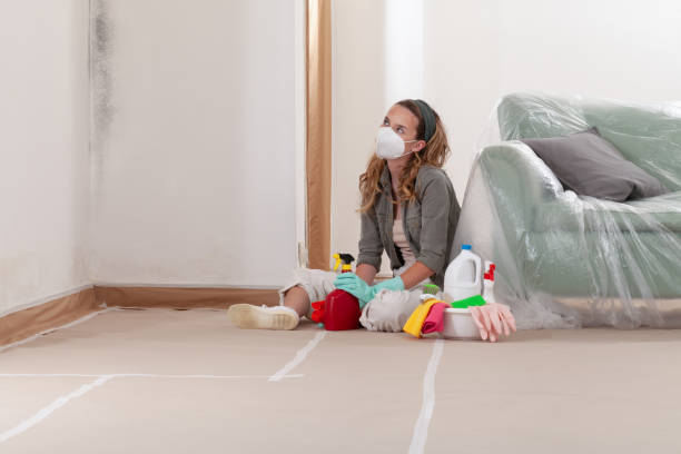 Reliable Mold Remediation contractor in Downingtown, PA by WQB Mold Removal